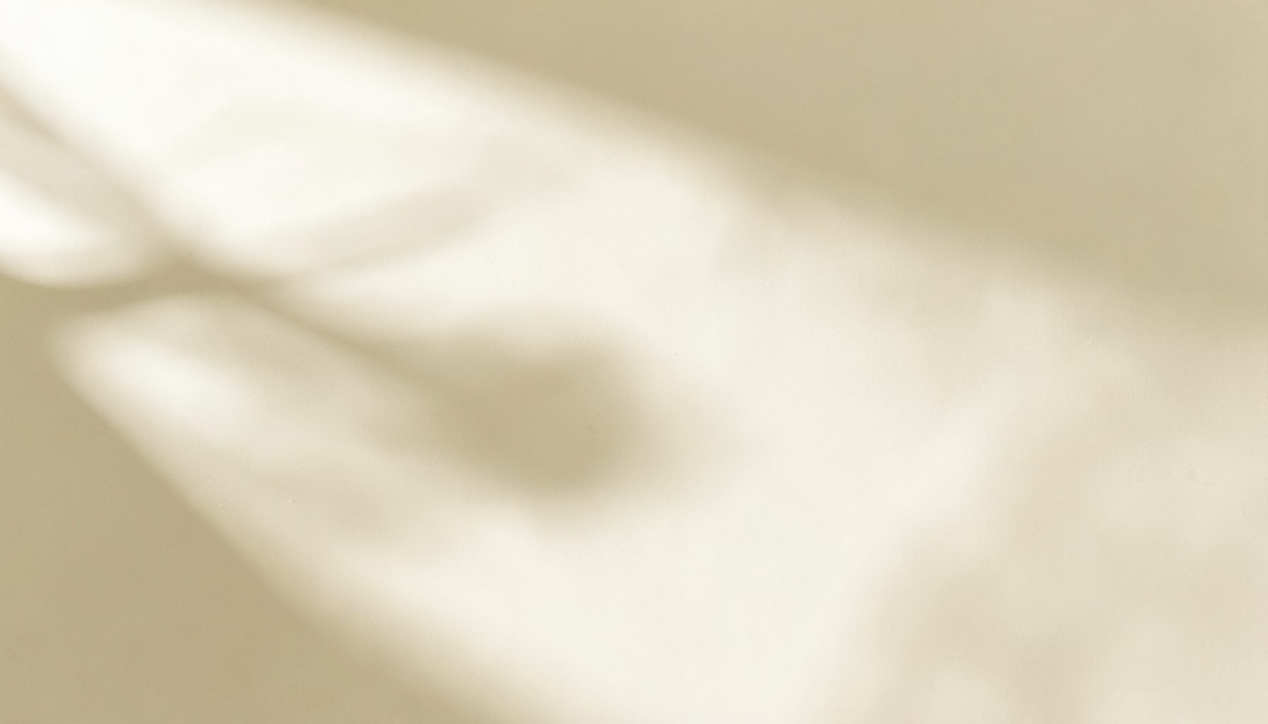 Soft natural light falling across a smooth cream-toned surface with subtle botanical shadows, calm and clean