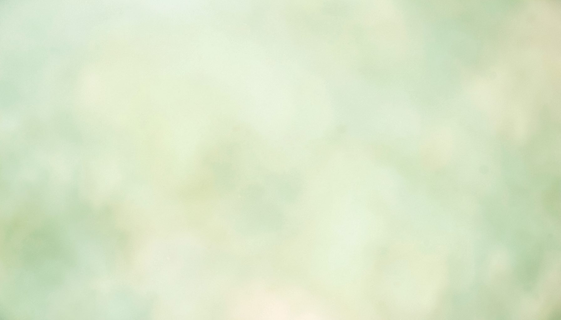 Soft natural tones with gentle green and cream hues, calm and clean atmosphere